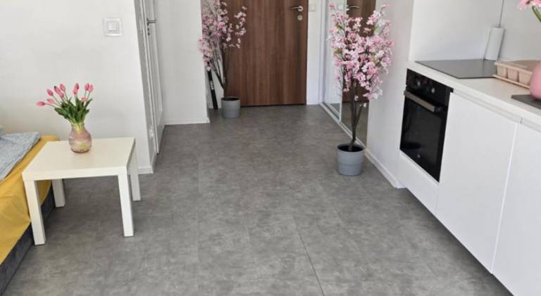 Beautiful holiday apartment | Pets are welcome — photo 3