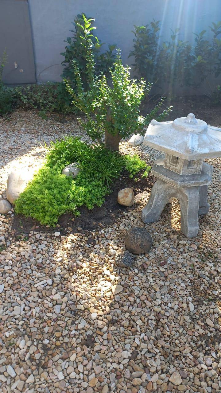 foto49