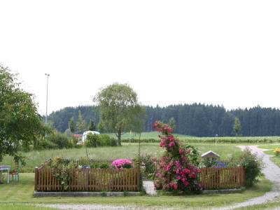 foto6