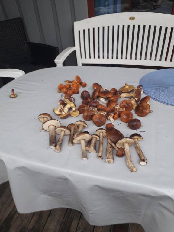 foto2