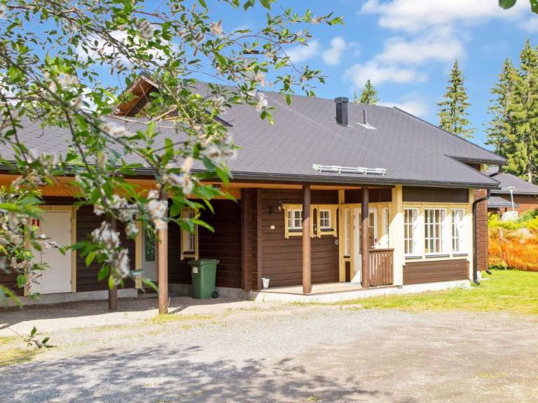 Maison de vacances Lac Syväri