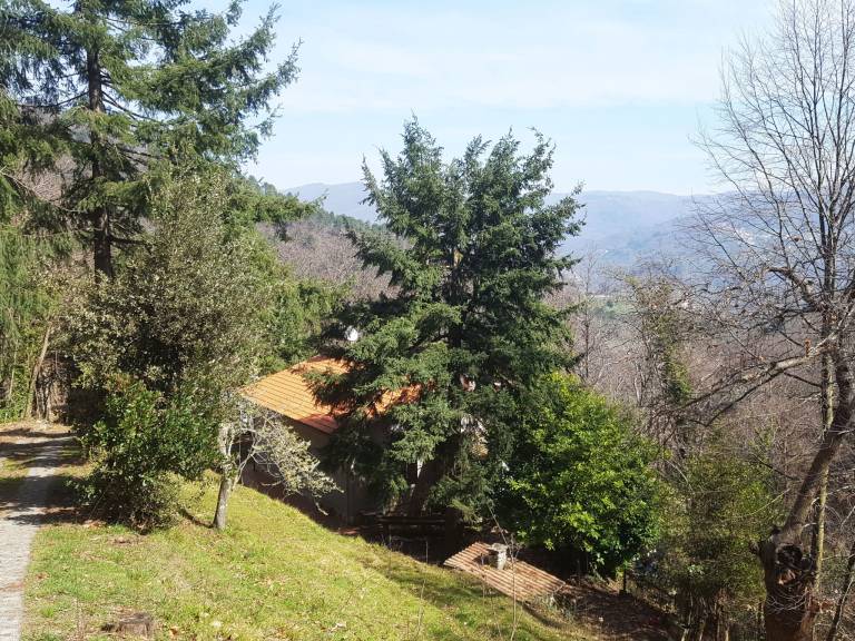House with garden, patio & hot tub | Nature view | Good for workation — photo 4