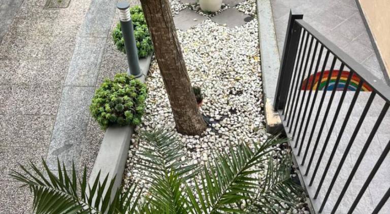 B&B A Casa Mia — photo 5