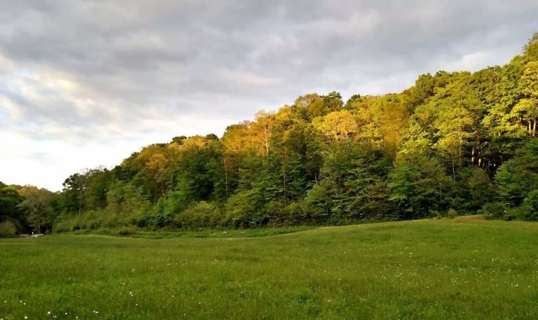 Resort  Allensville