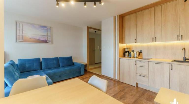 Apartment with terrace — photo 4