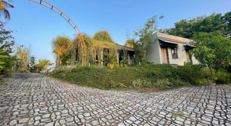 foto5
