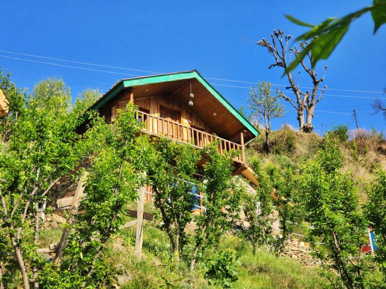 Bungalow with 1 room for 4 persons — photo 5