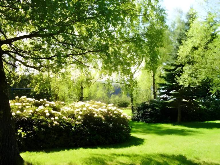 foto49
