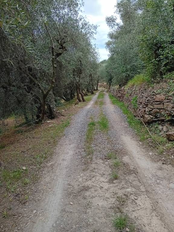 foto11
