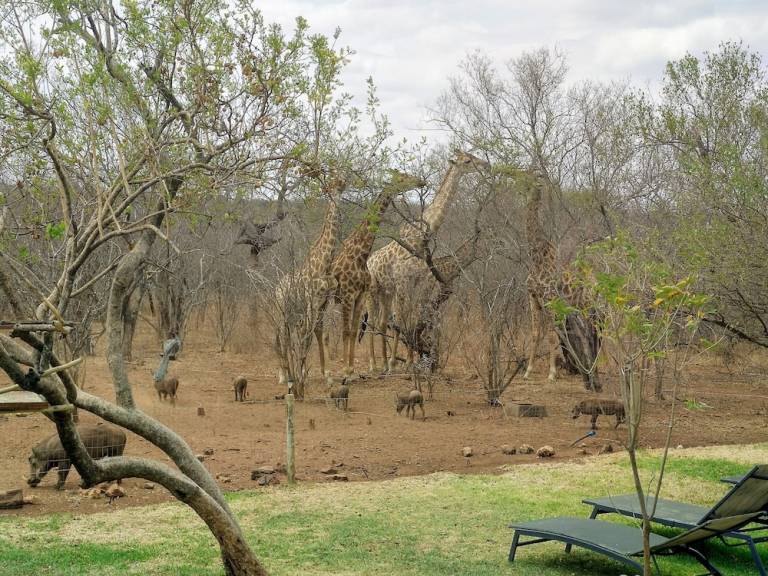 Herberg  Maruleng