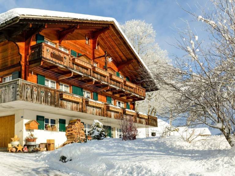 Ferienwohnung mit Hund in Grindelwald, Berner Oberland f&uuml;r max. 4 Personen