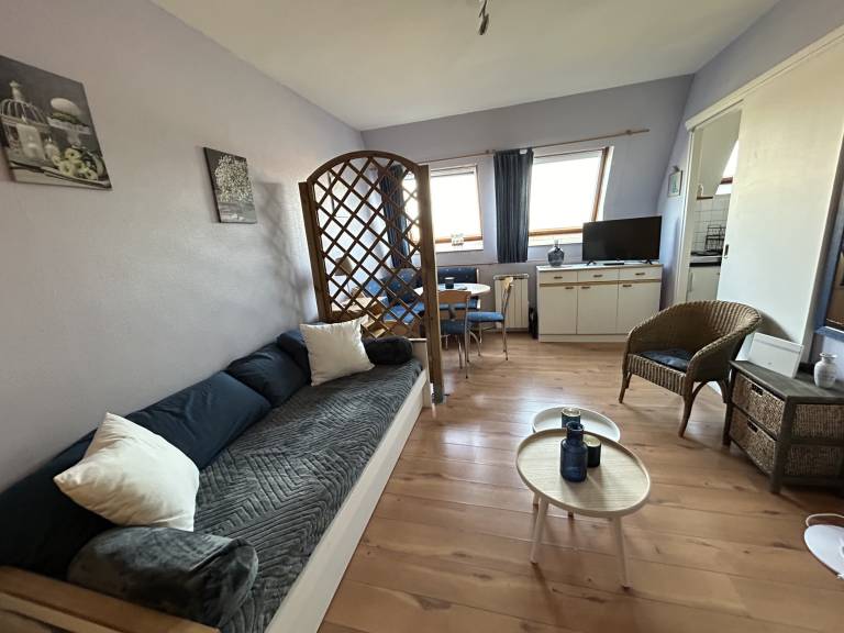 Beautiful studio | Dogs allowed — photo 2