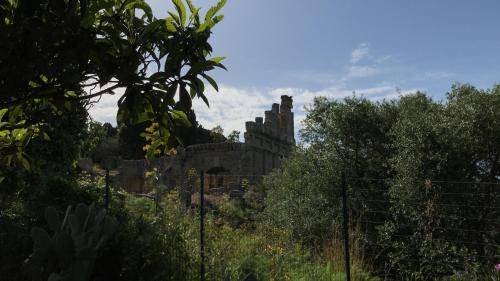 Apartment  Oliveri
