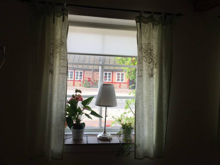 foto14