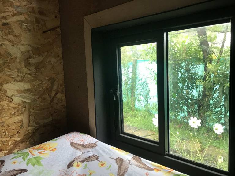 Biohaus Eco-Hostel & Cafe — photo 5