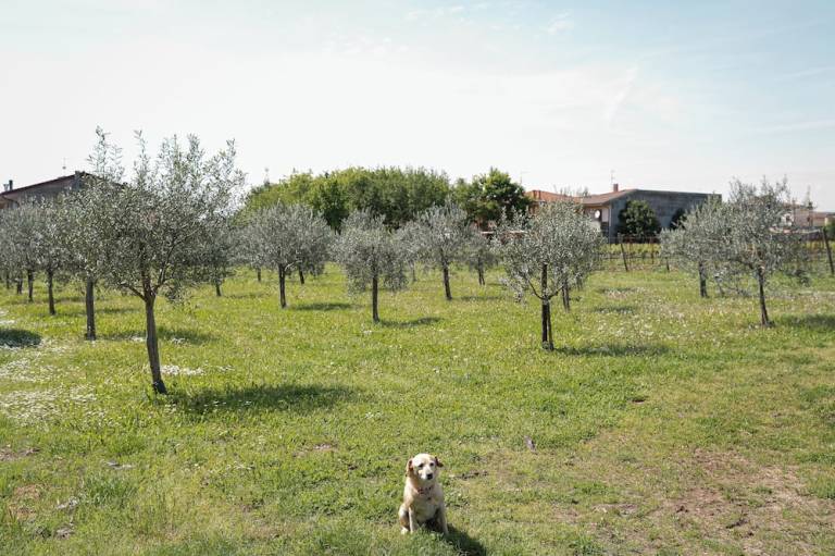 foto12