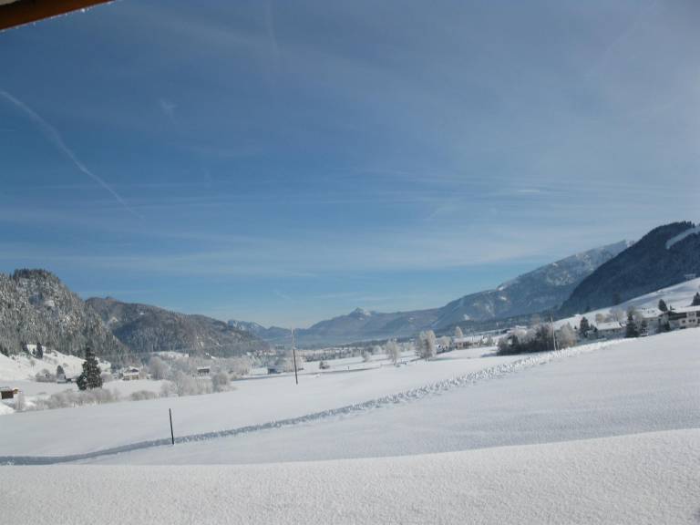 foto2