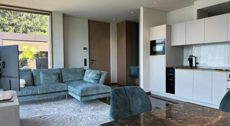 Rental apartment with pool in Torri del Benaco