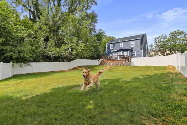 House with garden | Good for workation — photo 2