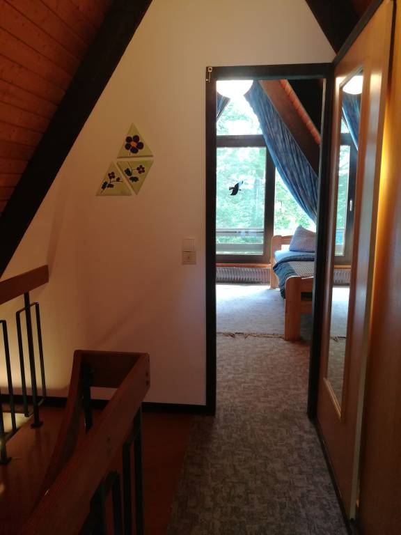 foto16