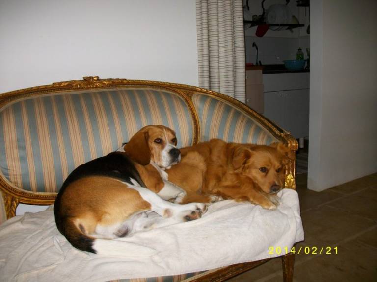 foto10