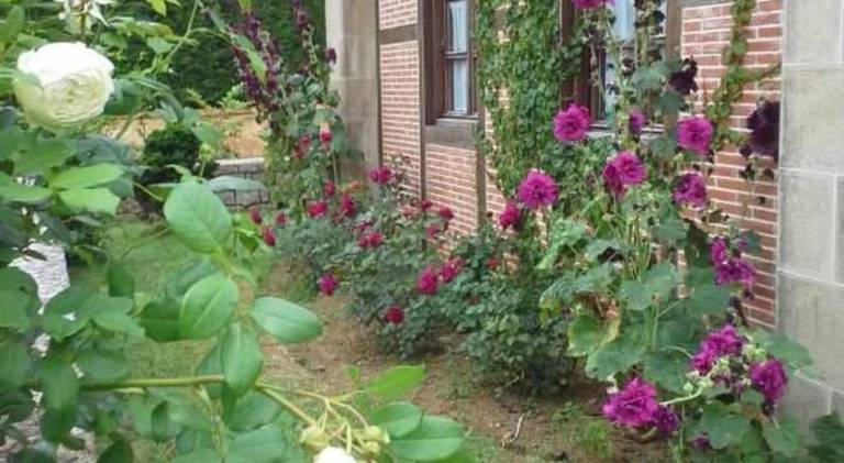 foto42