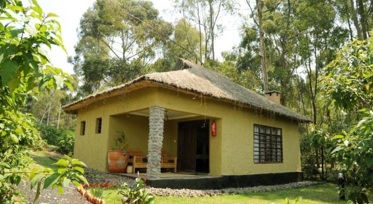 Da Vinci Gorilla Lodge — photo 5