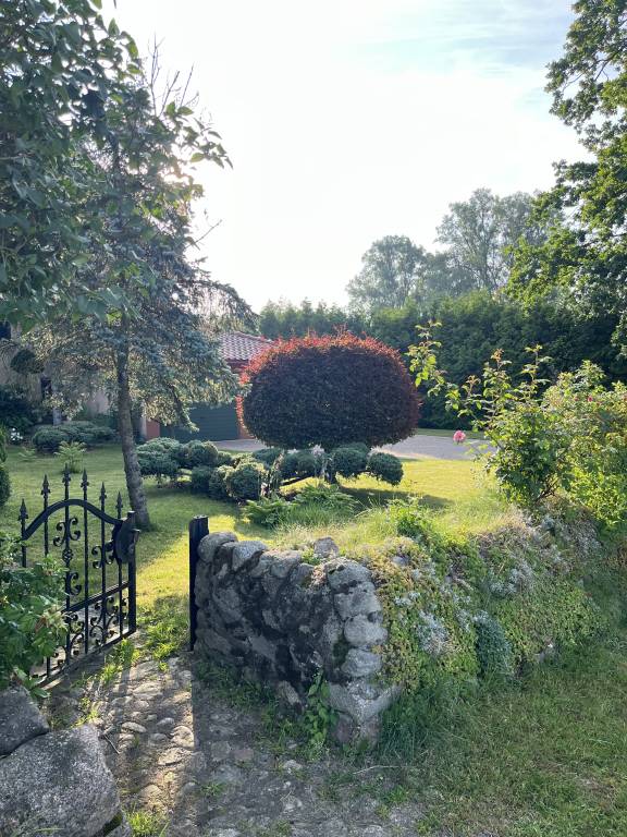 foto15