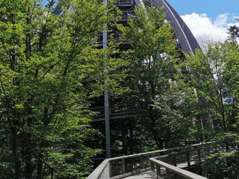 foto14