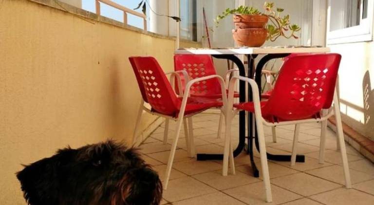 Rental apartment with 2 rooms for 4 persons — photo 3