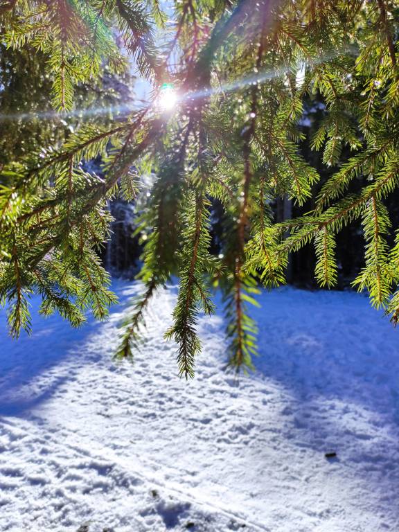 Deliziosa mansardina Il Nido nelle Dolomiti