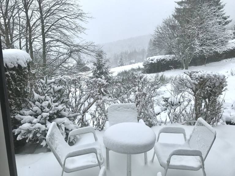 Chalet Ban-sur-Meurthe-Clefcy