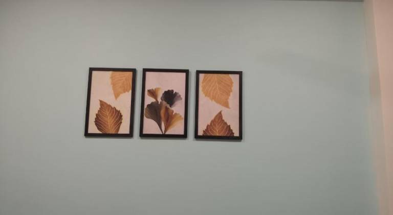 foto49
