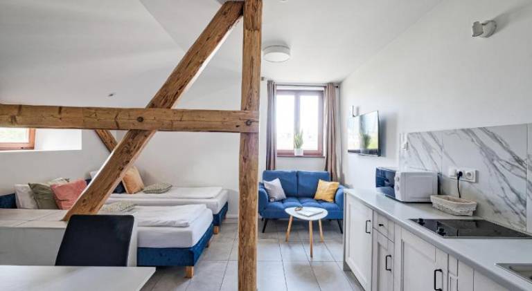 Pleasant rental apartment | Pets allowed in Katowice