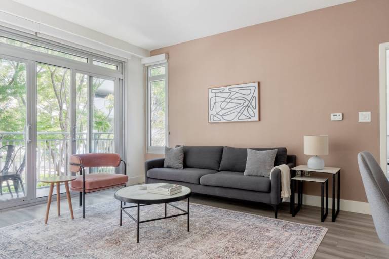 Apartment Mountain View