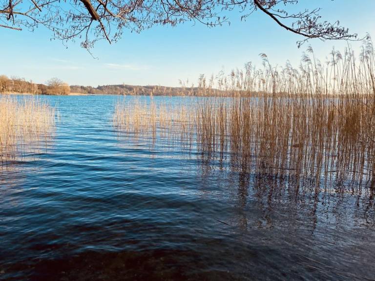Rental apartment with sauna & patio in Scharbeutz