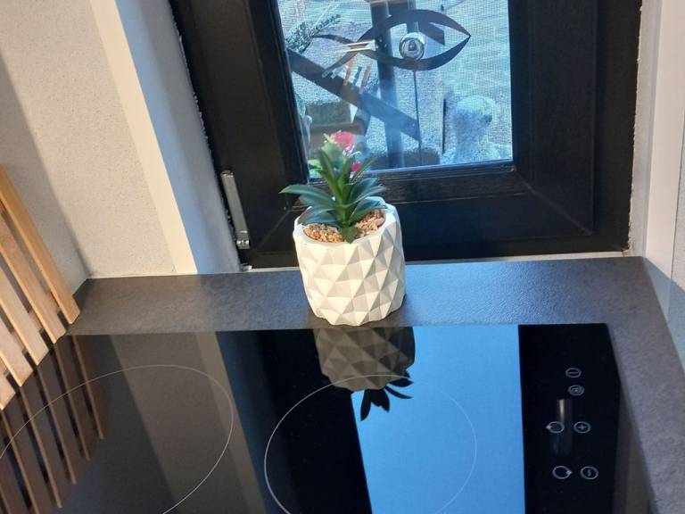 foto26