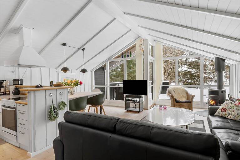 Ferienhaus  Grønhøj