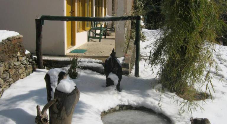 foto16