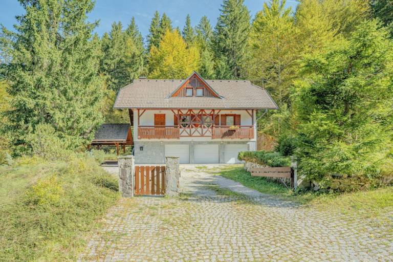 Chalet  Kranjska Gora