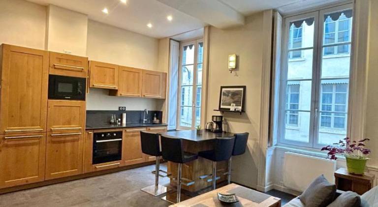 Appartement lumineux en plein coeur de Lyon — photo 2