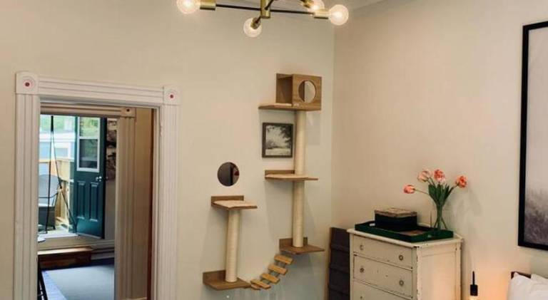 Rental apartment with 1 room for 3 persons — photo 2