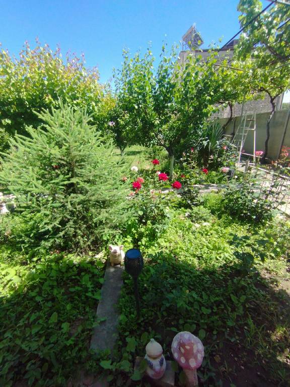 foto22