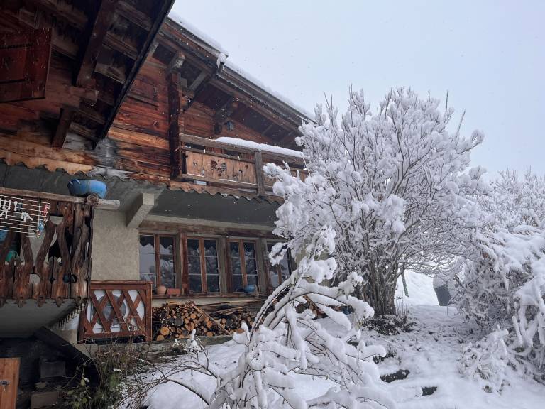 Chalet Praz-sur-Arly
