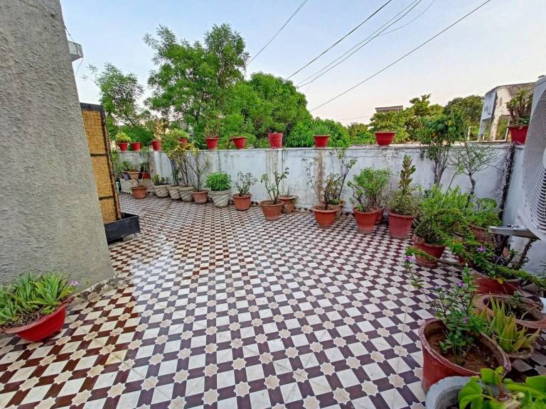 foto8