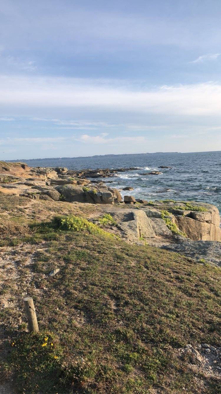 foto41