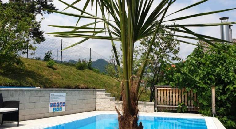 House with pool | Pets are welcome in Bled