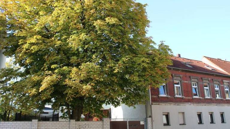 Ferienwohnung  Zerbst/Anhalt