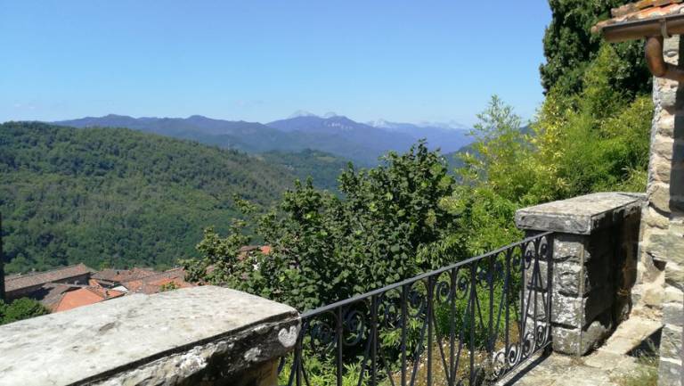 foto14