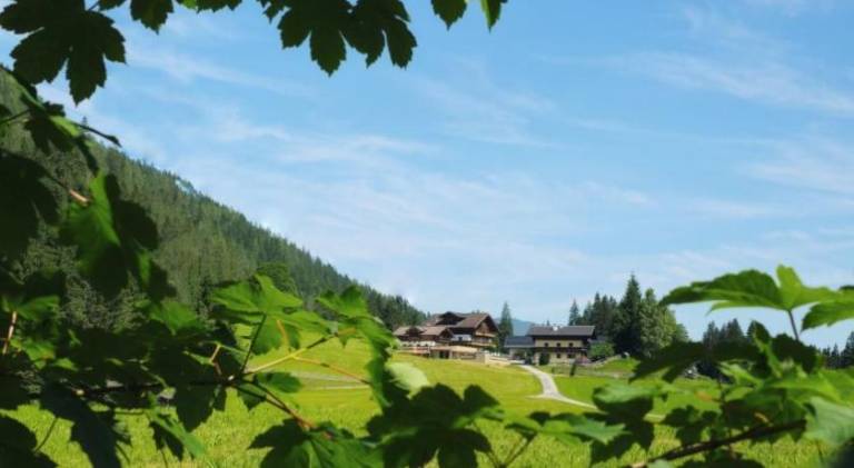 Holiday apartment with sauna, yard & pool | Good for workation | Pets allowed in Flachau